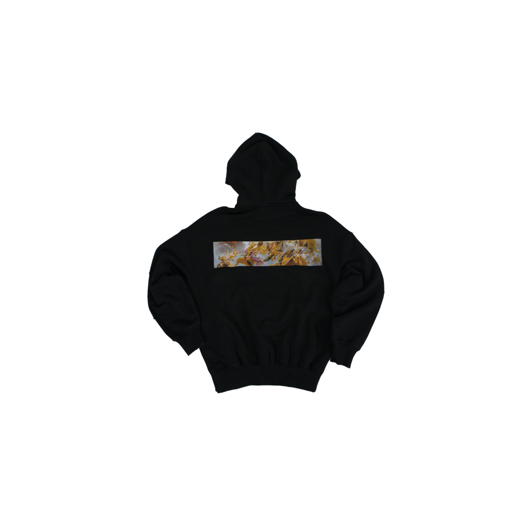 HOODIE ANGEL WINGS