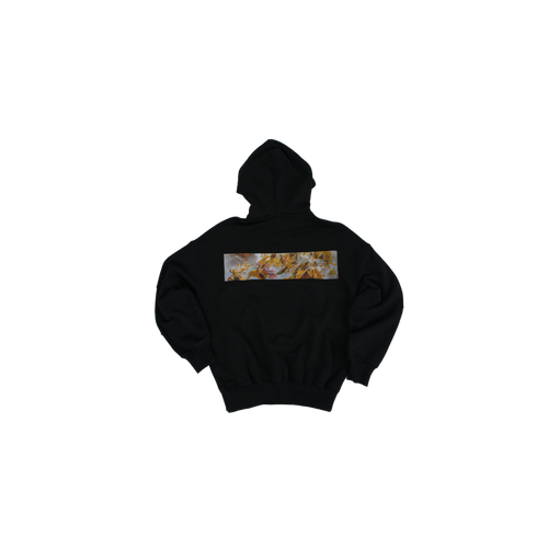 HOODIE ANGEL WINGS